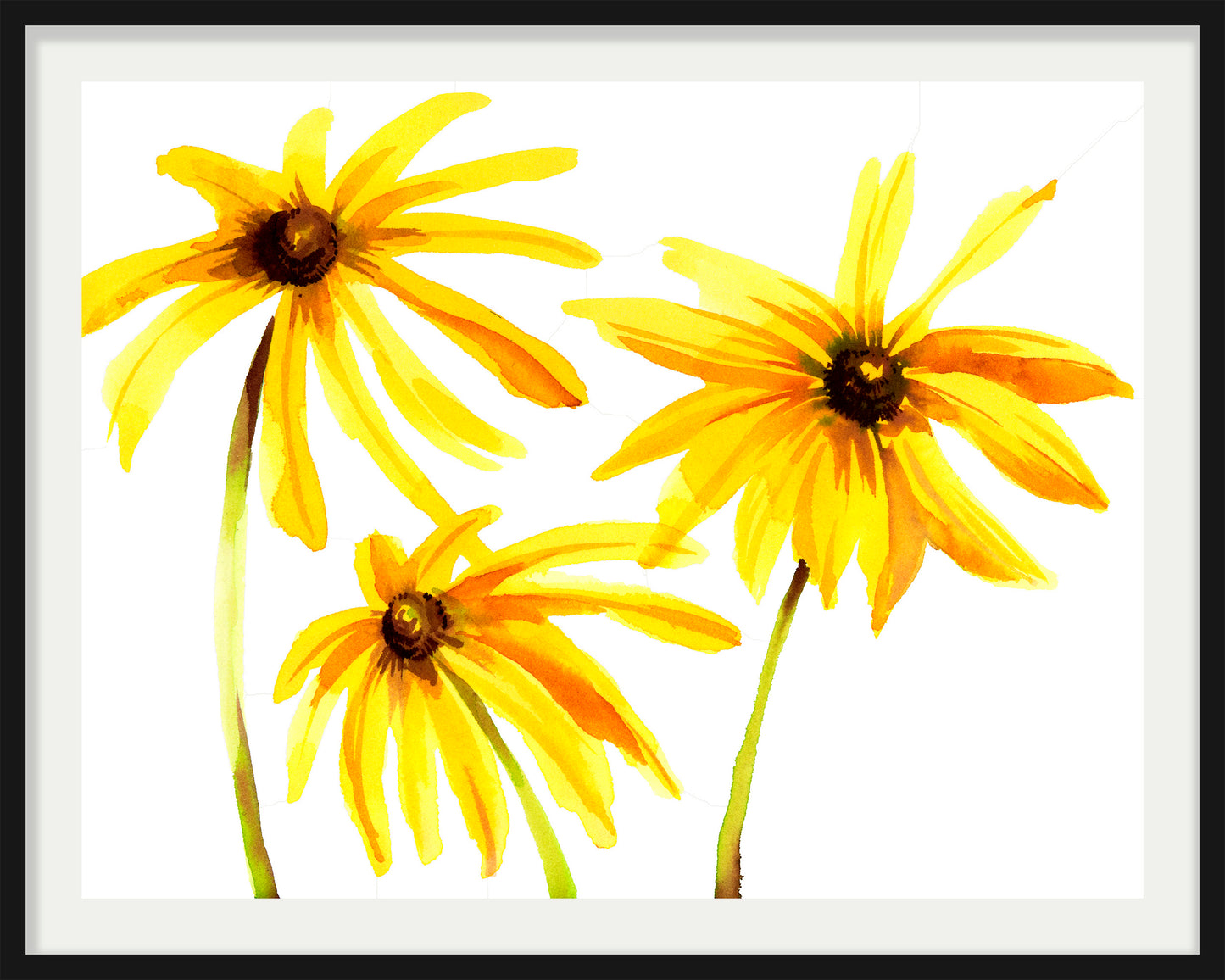 Black-Eyed Susans