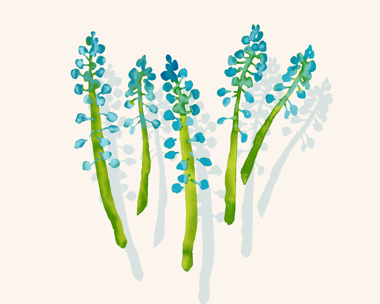 SUNLIT GARDEN - Grape Hyacinth