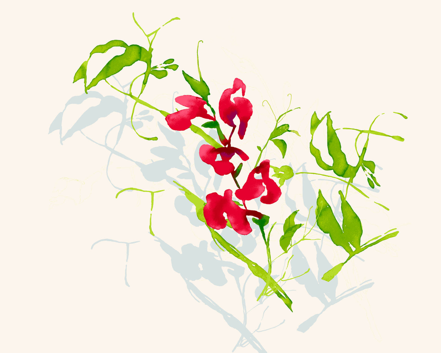 SUNLIT GARDEN - Sweet Peas 2