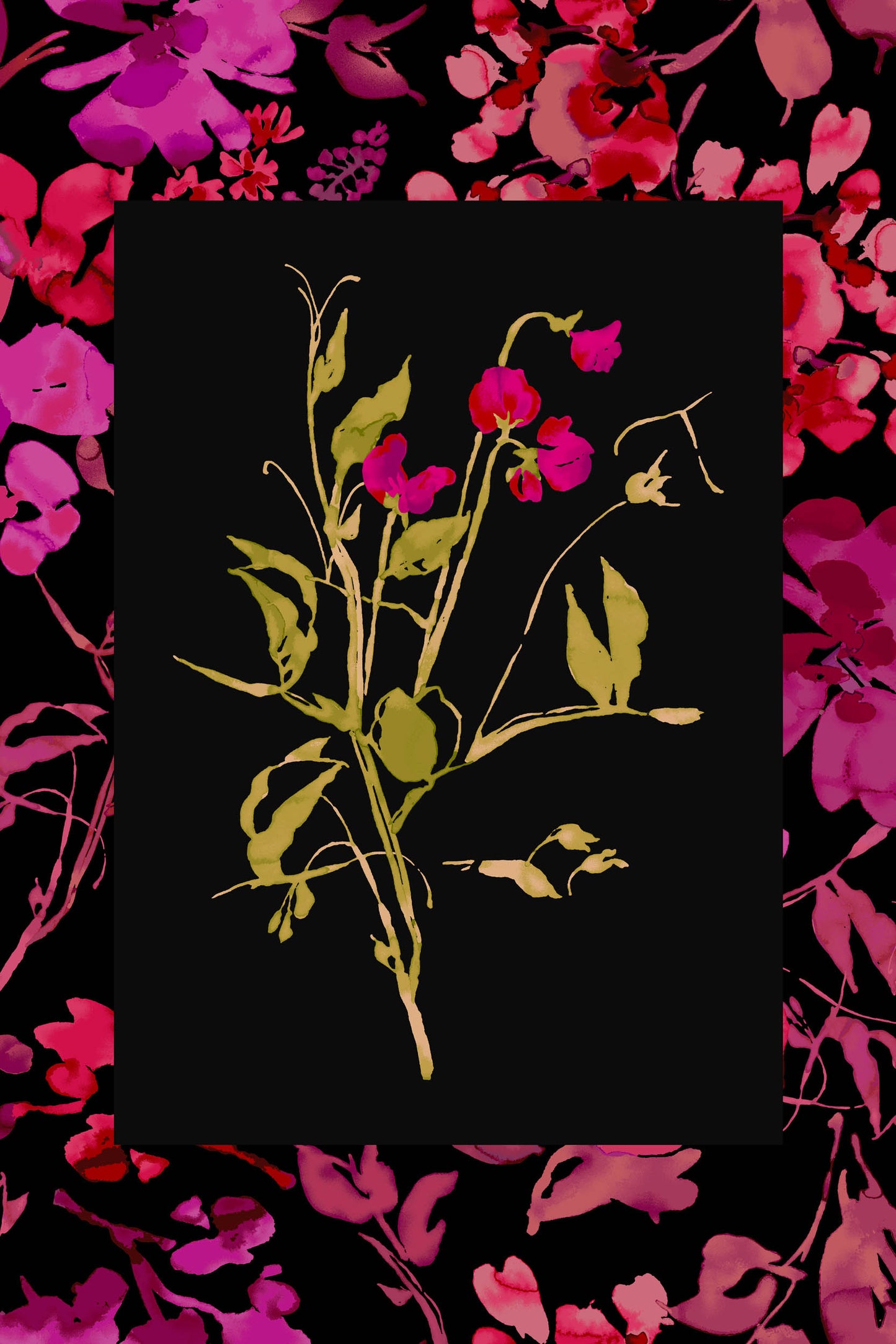 SWEET PEAS - 1