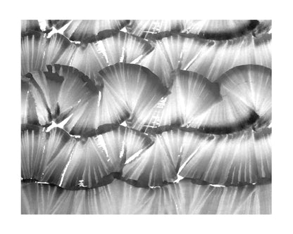 RIBBON CANDY - Black & White