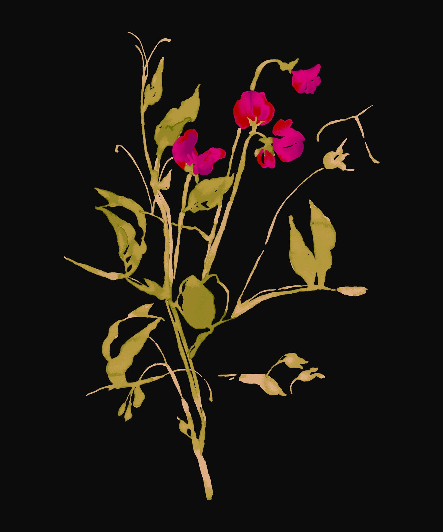 SWEET PEAS - 1