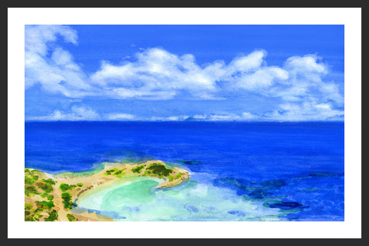 SECRET COVE