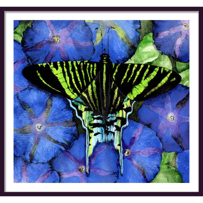 BUTTERFLY AND MORNING GLORIES